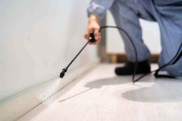 Licensed Termite Control service in Worth County County, IA - Nex Pest Control