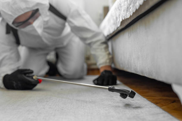 Professional Termite Control technician working in Worth County County, IA